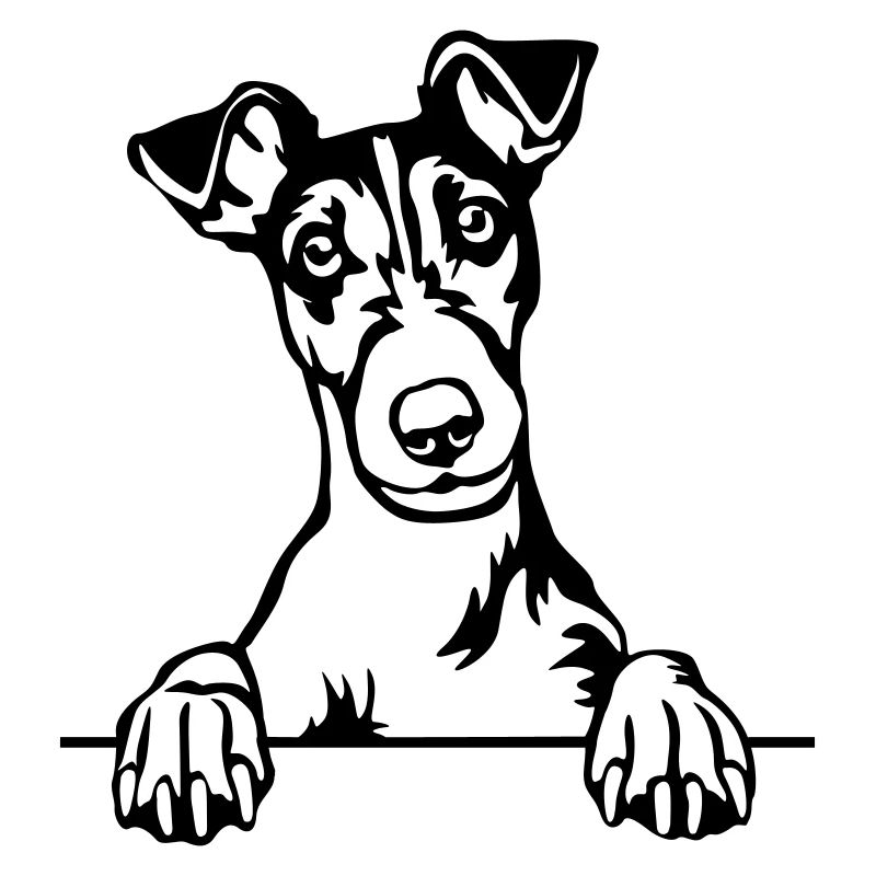 Tête de Fox Terrier