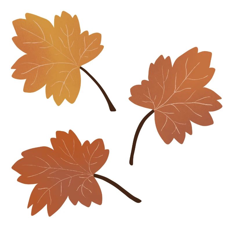 Autumn Maple Leaf Pattern for Cozy Apparel