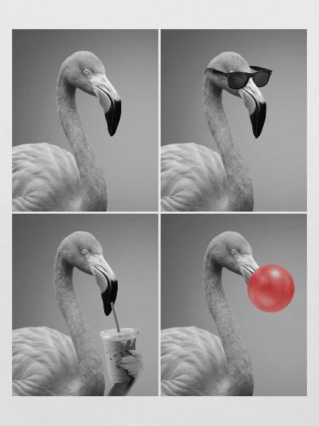 Flamingos Flamingo