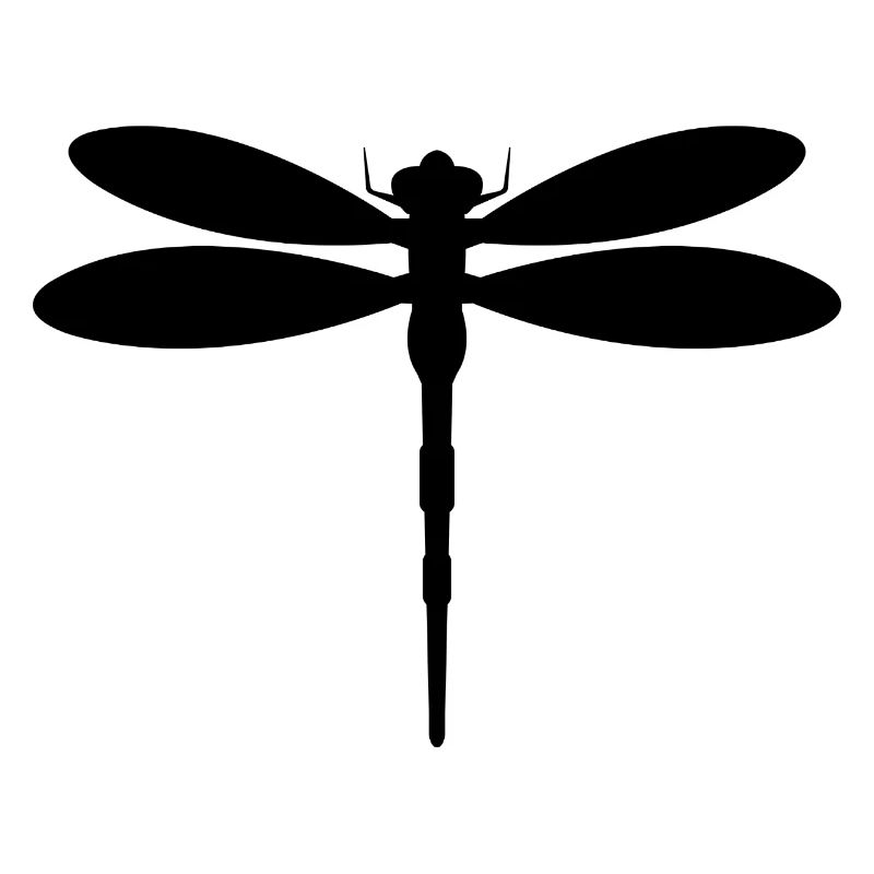 Libellule