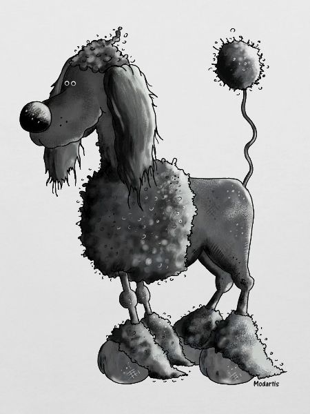 Dufter Pudel - Hund