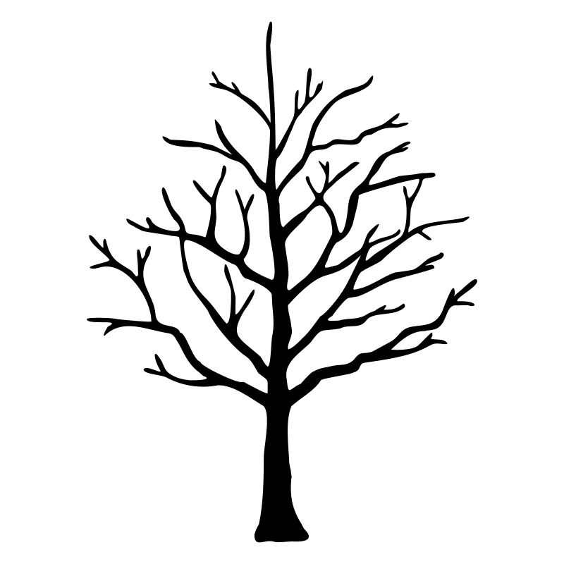 Baum