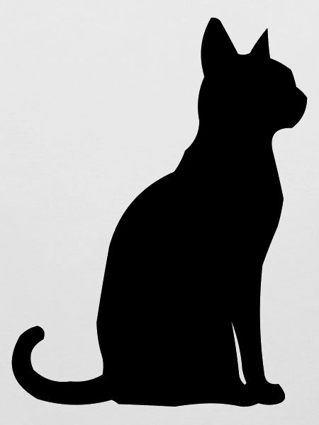 Katze Tier