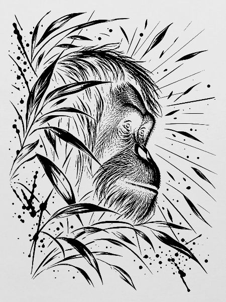 Orang Utan