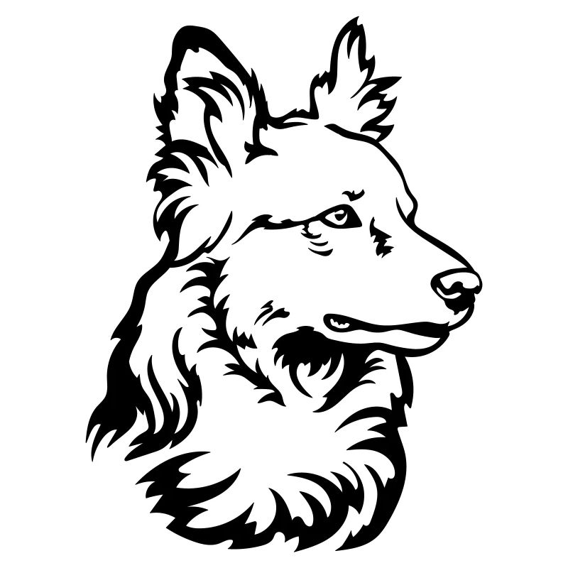 Harzer Fuchs Kopf