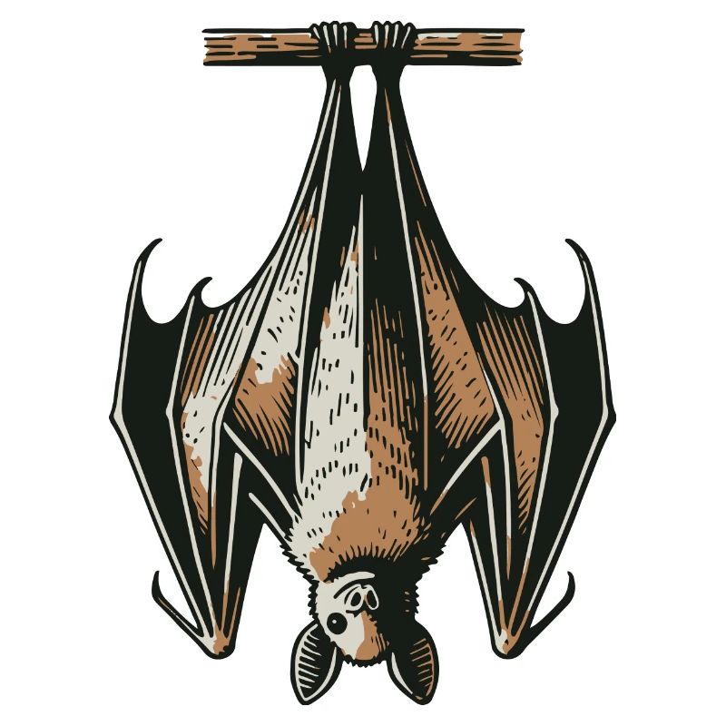 Chauve-souris