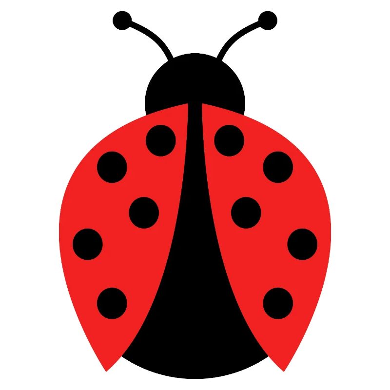 ladybug