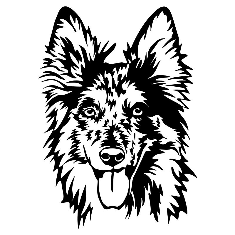 Tiger (old German herding dog) head
