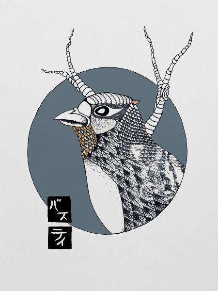 Bird