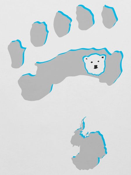 Eisbär 8