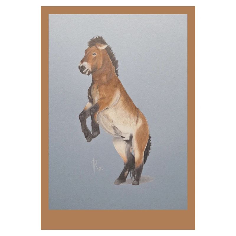 Hochreitendes Pferd