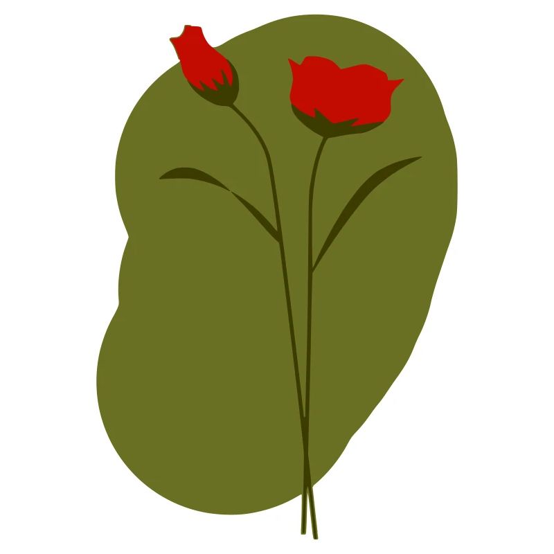 Mohn