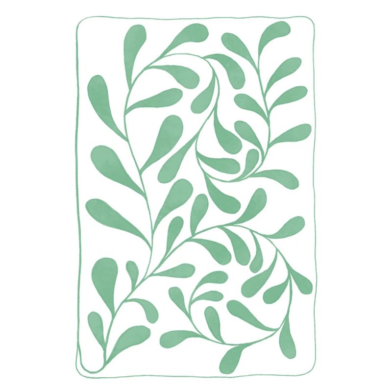 Feuilles d’eucalyptus