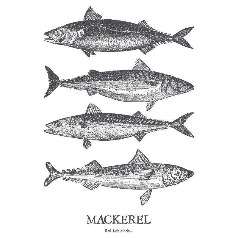 Mackerel Silhouette Quartet