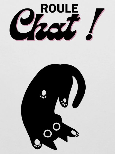 Chat en roue libre !