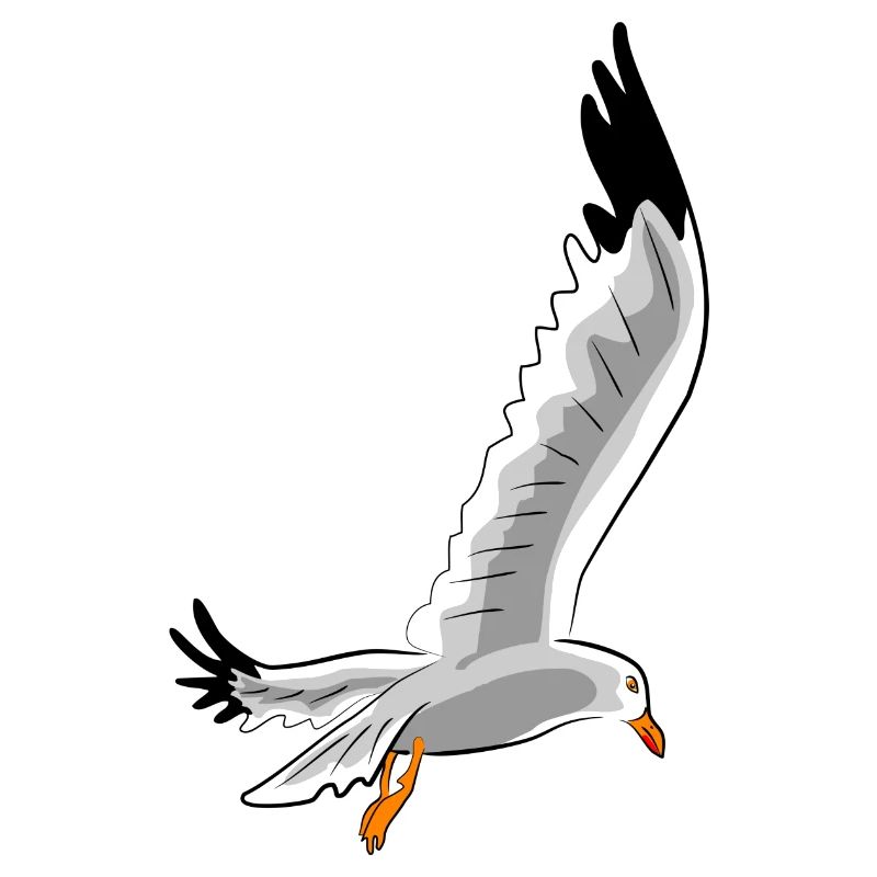 fliegende moewe vogel