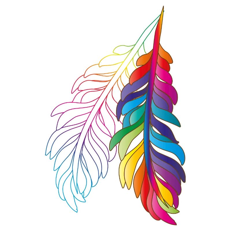 Rainbow feathers – colourful boho design