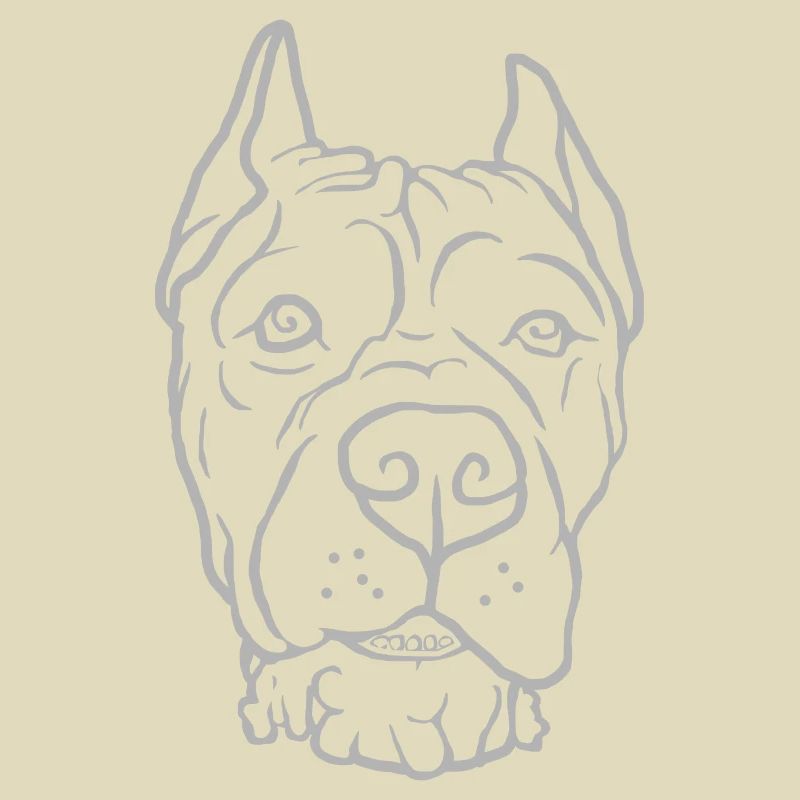 Cane Corso Head