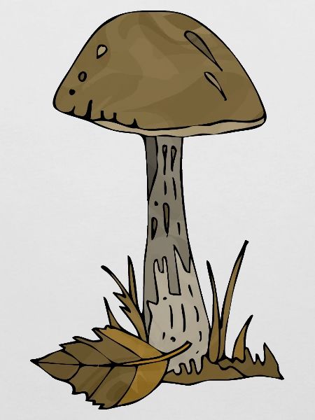 Pilz