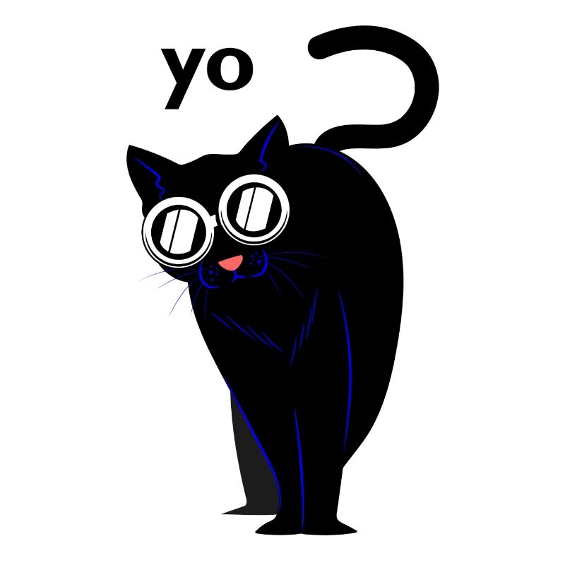 Chats chats