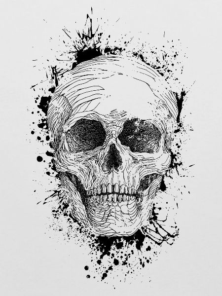 Skull