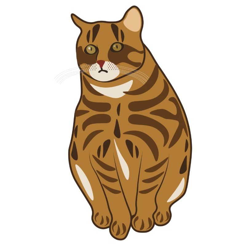 Chat Landrace