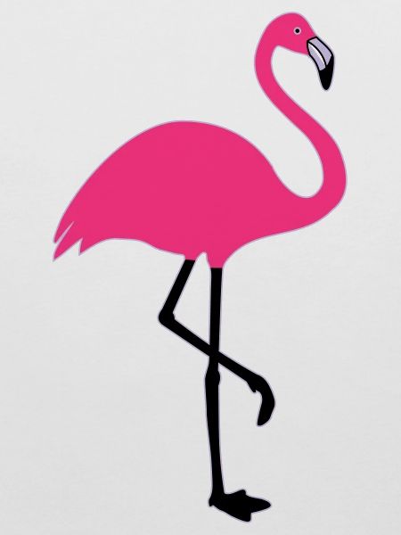 Flamingo Summer Sun Beach