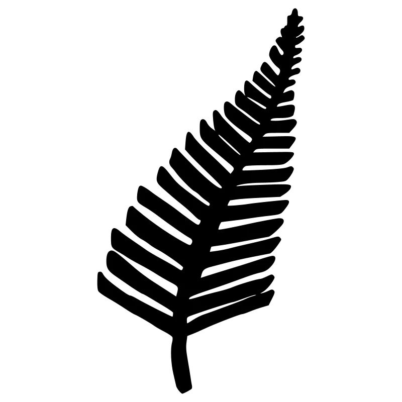 Fern