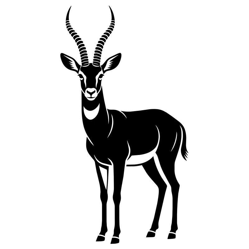 Antilope