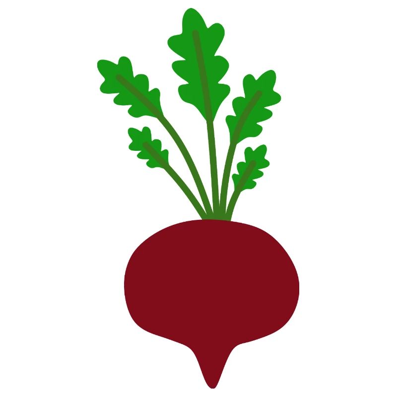 Vibrant Beetroot Leaf Illustration