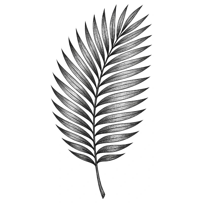 Black palm leaf pattern