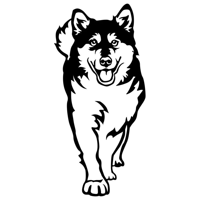 Alaskan Malamute