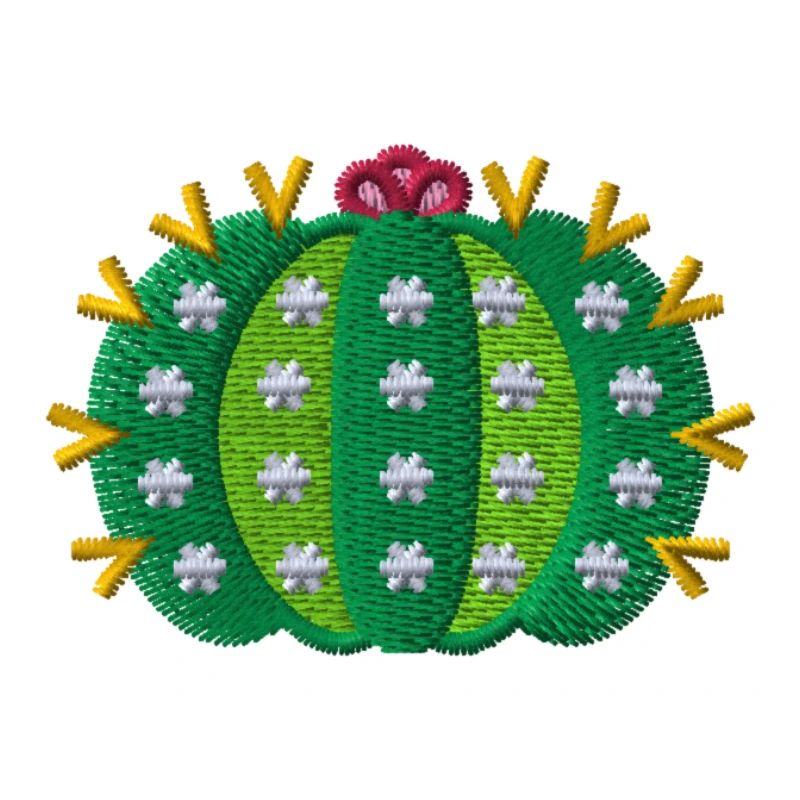 Kaktus 2