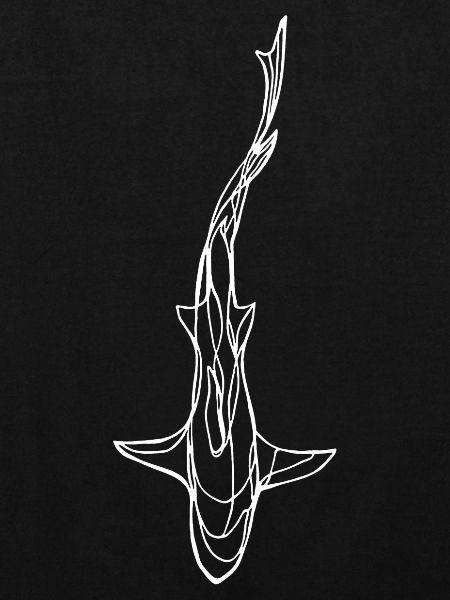 Silhouette de requin blanc