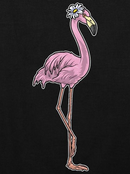 Flamingo Daisies