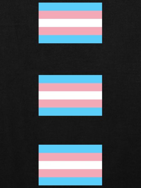 Trans Pride Flags  