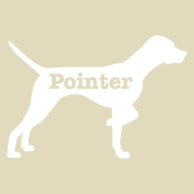 Pointer