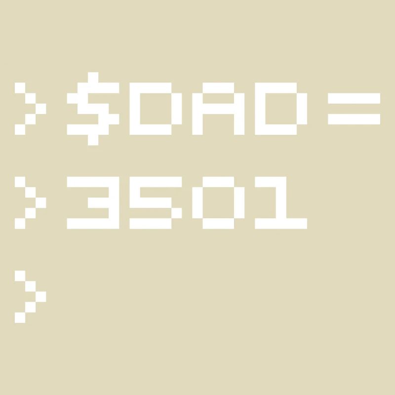 DAD Terminal de Pixels Nerd Code 8-Bits Rétro