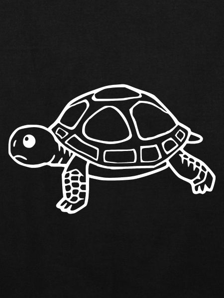 Turtle Turtles