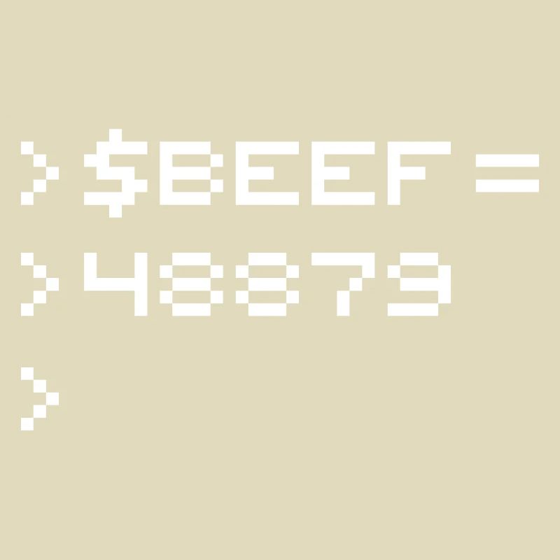 BEEF 8-bit Code Nerd Pixel Terminal Rétro
