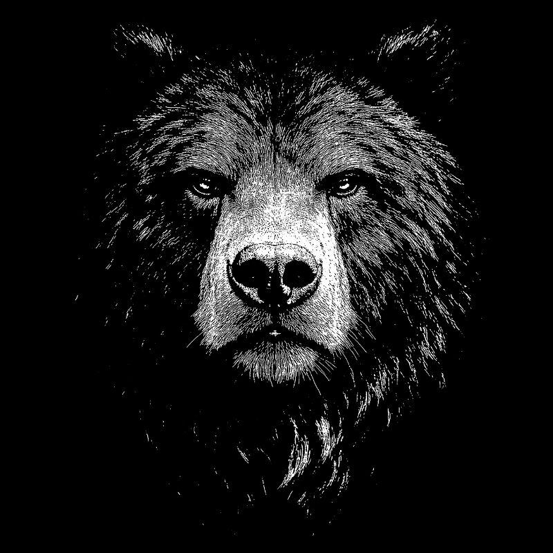 Ours