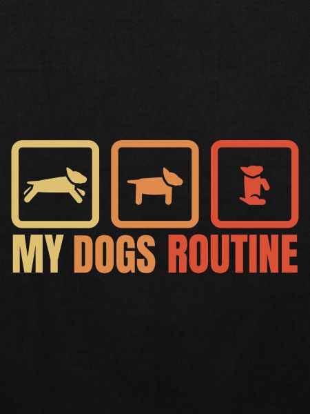 Die Routine meines Hundes