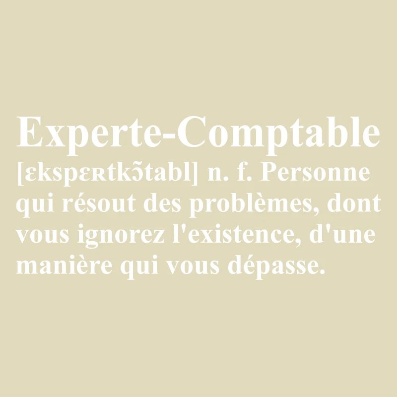 Experte-Comptable Définition