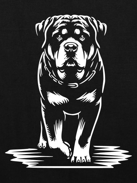 Rottweiler « Black Edition »