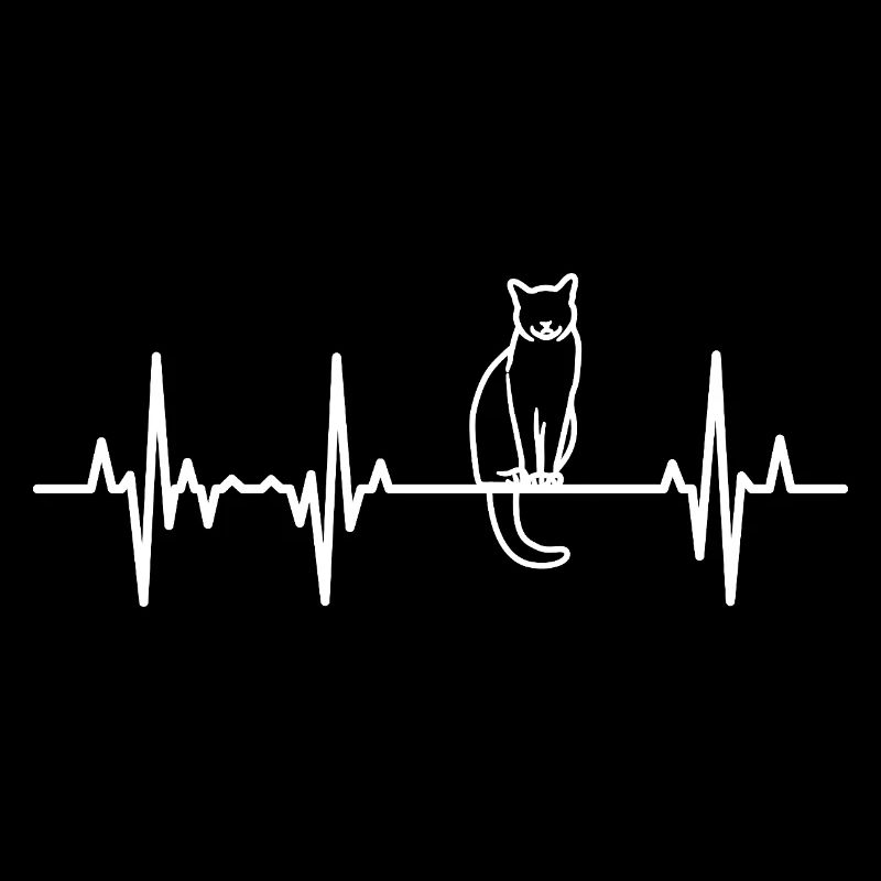 Palpitations cardiaques de chat
