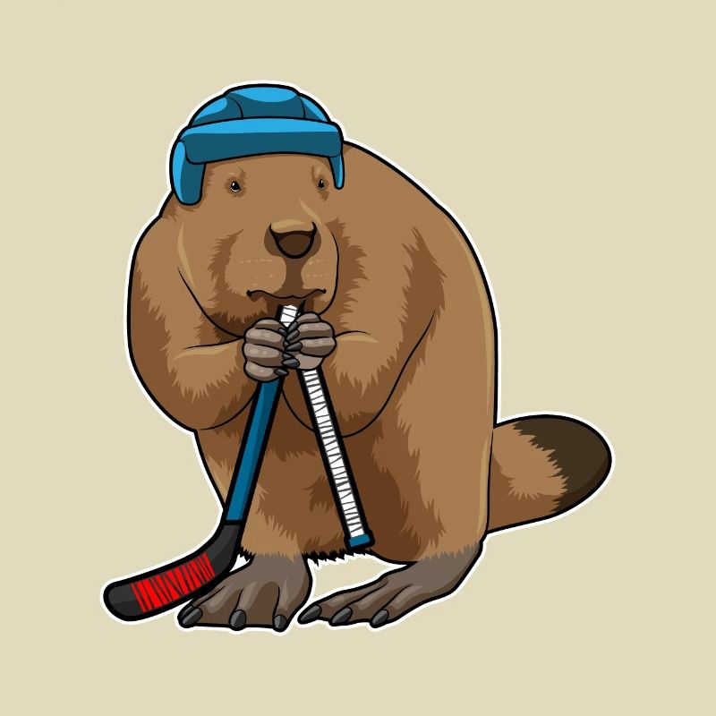 Biber Eishockey Eishockeyschläger