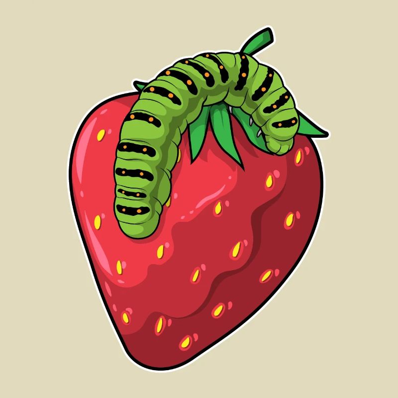 Fraise chenille