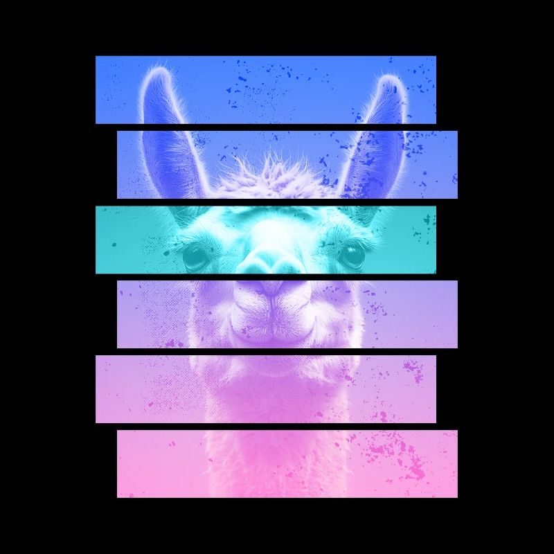 Alpaca