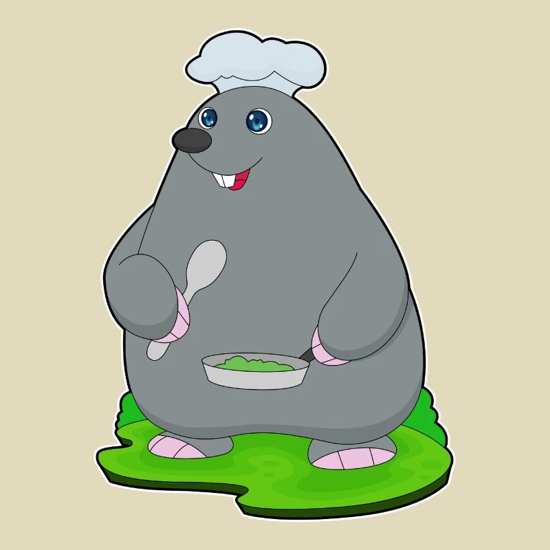 Mole Cooking Pan