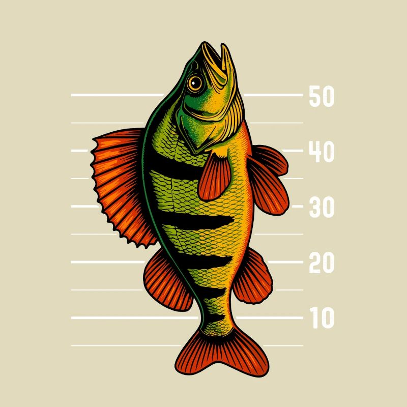Perch Perch Perch Perch Bait